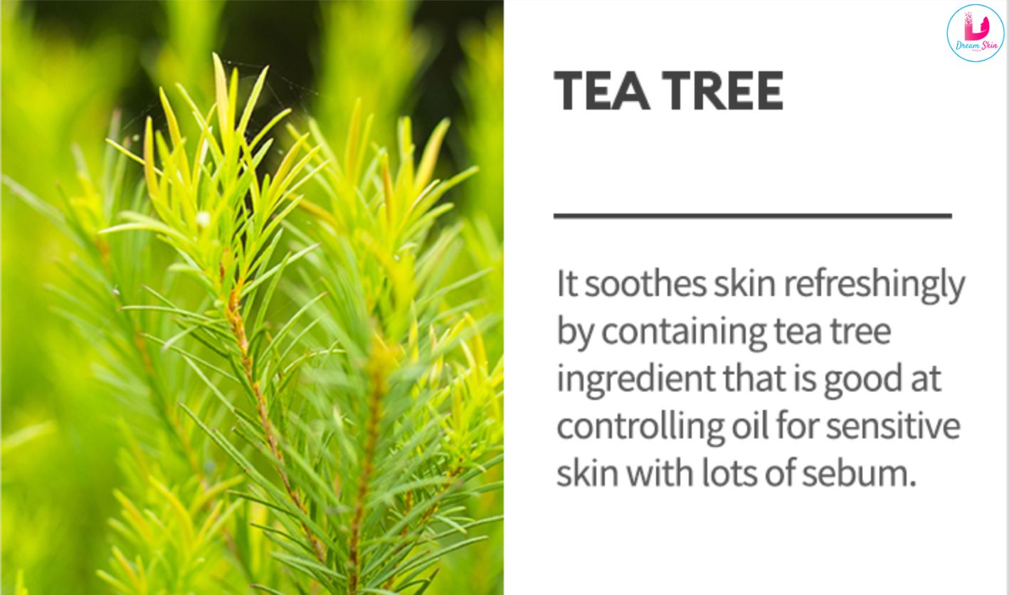 Missha Airy Fit Sheet Mask (Tea Tree)